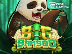 Casino free slots bonus2